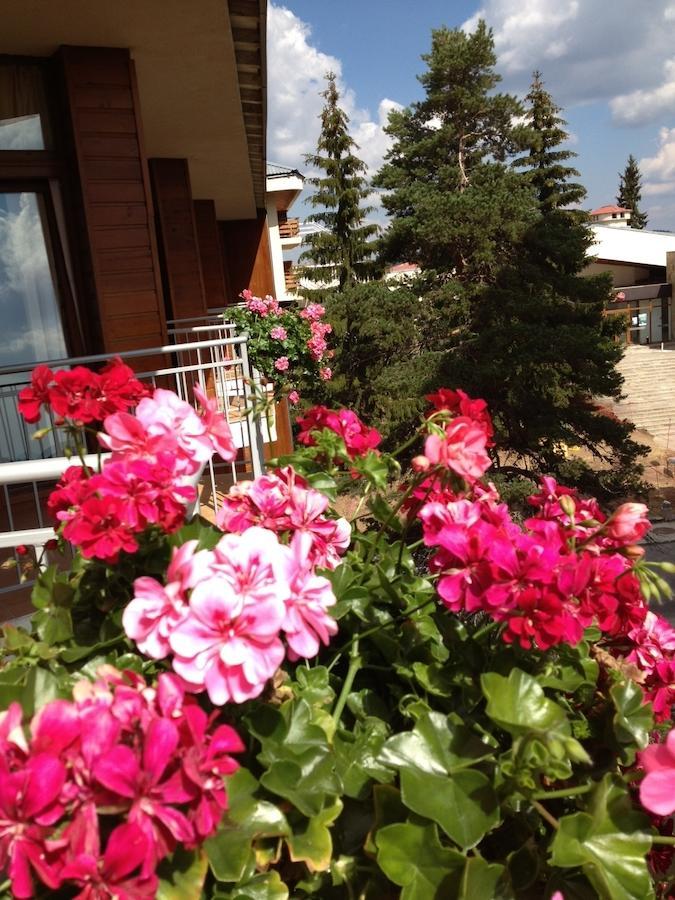Dafovska Hotel Pamporovo Ngoại thất bức ảnh